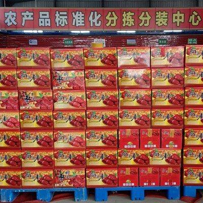 陕北狗头枣清涧佳县大红枣一级二级多级枣子现包源头工厂厂家直销图5