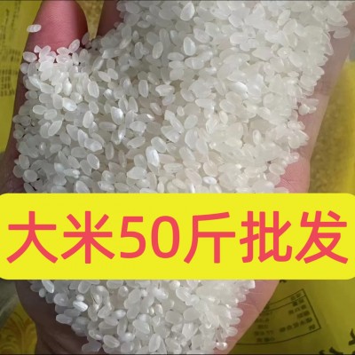 批发大米50斤装米食堂用便宜东北大米50斤一袋大袋新米散珍珠米