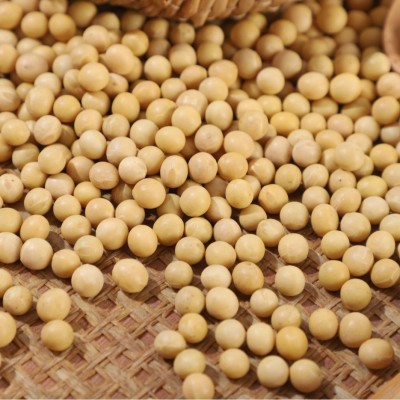 大量批发东北黄豆50斤一包做豆腐打豆浆专用大豆豆子散装非转基因图3