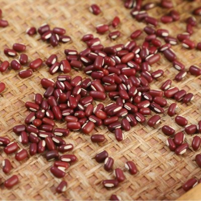 厂家批发赤小豆整袋红小豆东北赤豆散装长粒红豆五谷杂粮粗粮豆类图3
