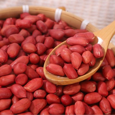 厂家批发新鲜油料花生去壳花生米东北红皮四粒红生红衣花生米50斤图3