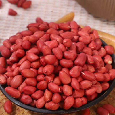 厂家批发新鲜油料花生去壳花生米东北红皮四粒红生红衣花生米50斤图2