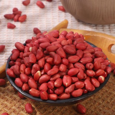 厂家批发新鲜油料花生去壳花生米东北红皮四粒红生红衣花生米50斤图4