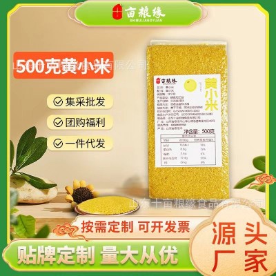 新米黄小米500克 独立真空包装 小米粥 十亩粮缘五谷杂粮工厂批发