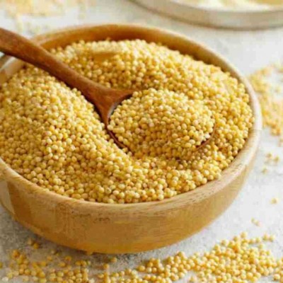 新米黄小米500克 独立真空包装 小米粥 十亩粮缘五谷杂粮工厂批发图3