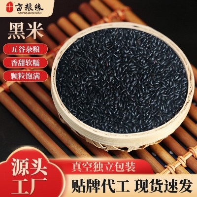 新黑米250g真空包装五谷杂粮粗粮当季新货甄选黑米小包装黑米粥