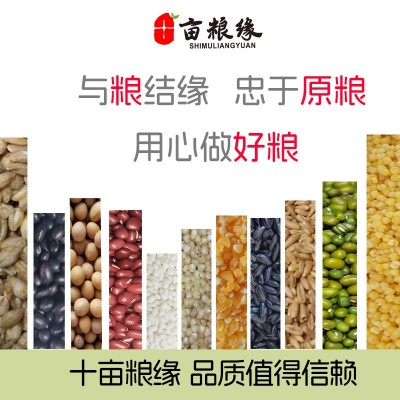 新黑米250g真空包装五谷杂粮粗粮当季新货甄选黑米小包装黑米粥图4