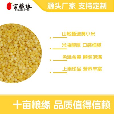 黄小米250克独立真空包装软糯粘稠十亩粮缘品牌团购批发五谷米粥图2