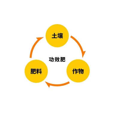 中微量元素水溶肥钙镁硼锌铁矿源黄腐酸钾蔬菜果树肥料根施冲施肥