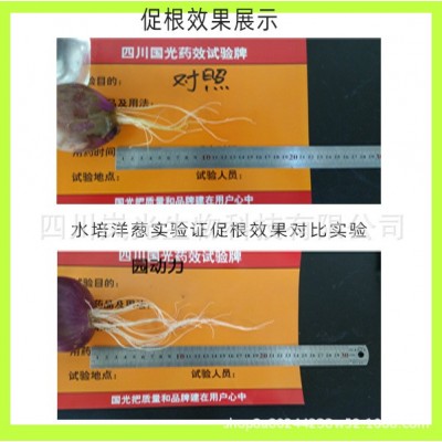 国光园动力大量元素水溶肥氮磷钾复合肥料通用型蔬菜果树农用种菜图2