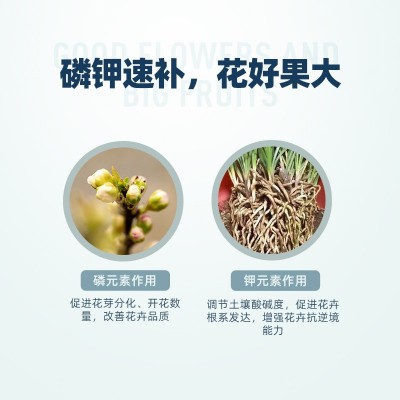 千百季磷酸二氢钾花肥料花卉专用绿植正品家庭养花用磷钾肥叶面肥图4