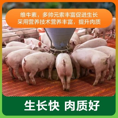 教槽料102粉+粒适口性好不拉稀吸收好不便秘抵抗力强不易生病图2