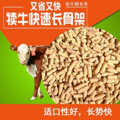 嘉 禾牧丰饲料集团供应T952仔猪配合饲料 高营养 高吸收 适口性强