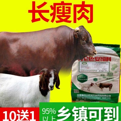 克仑巴安 牛羊预混料 核心配方 厂家发货 牛催肥饲料 40斤一袋图4