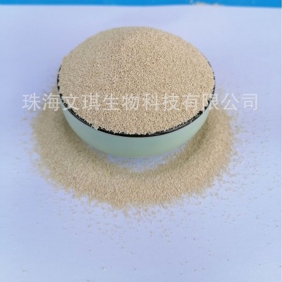 酿酒酵母 活性酵母菌200亿 水产反刍养殖适用 量大价优 货源足