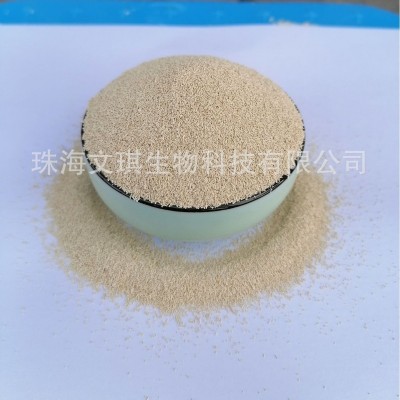 厂家批发 活性干酵母 酿酒酵母 反刍水产畜禽适用 量大价优图2