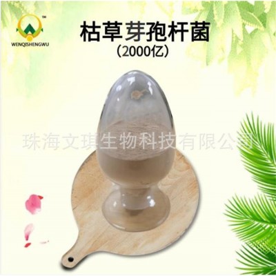 枯草芽孢杆菌 水产禽畜养殖饲料添加剂 现货