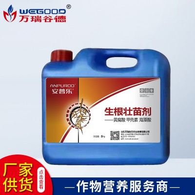 氨基酸冲施肥批发 生根壮苗剂水溶肥 根旺强力生根剂水溶 肥通用肥图2