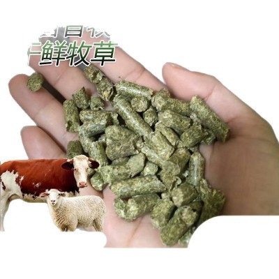 牛羊马畜牧牧草颗粒驴鹿鸡鸭鹅猪兔动物养殖干鲜饲草料牧草饲料图5