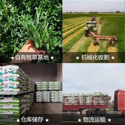 苜蓿草颗粒兔粮马场动物园仓鼠荷兰猪通用营养均衡饲料草段图7