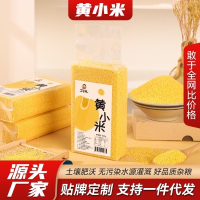 黄小米应季新米黄小米小米粥 500g五谷杂粮新东北黄小米 早餐小米