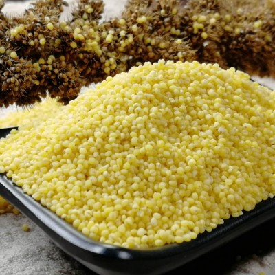 新内蒙小米东北河北黄小米50斤大包装品种齐全黄小米家庭装图4