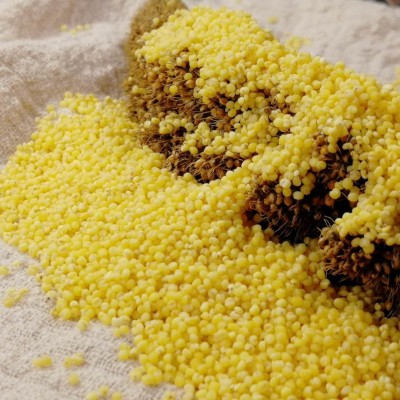 新内蒙小米东北河北黄小米50斤大包装品种齐全黄小米家庭装图3