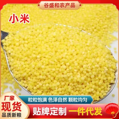 新内蒙小米东北河北黄小米50斤大包装品种齐全黄小米家庭装