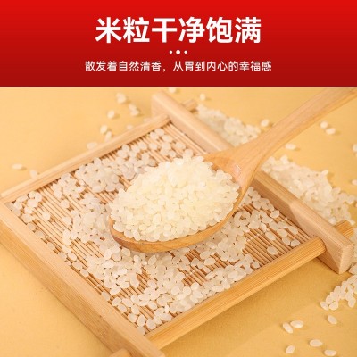 五常大米稻花香米伴手礼500g真空东北大米礼盒新米代发一斤装大米