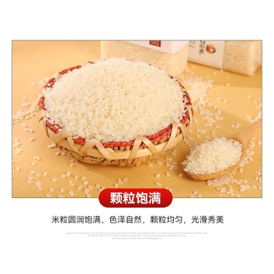 五常大米稻花香米伴手礼500g真空东北大米礼盒新米代发一斤装大米图3