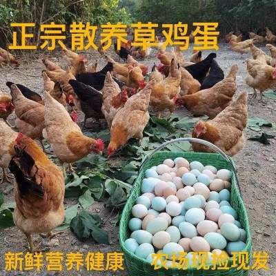 新鲜草鸡蛋农家散养土鸡蛋柴鸡蛋谷物土鸡蛋鸽子蛋大量绿壳蛋批发