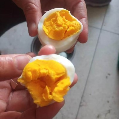 山鸡蛋草鸡蛋土鸡蛋富硒虫草鸡蛋土鸡蛋正宗散养大量批发图4