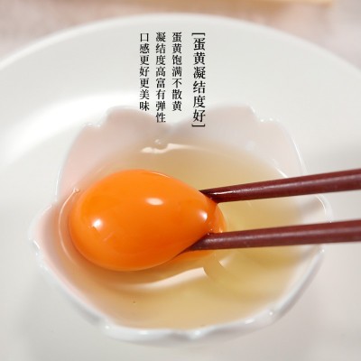 我老家富硒土鸡蛋 无沙门氏菌土鸡蛋 单枚50g大鸡蛋 支持一件代发图4