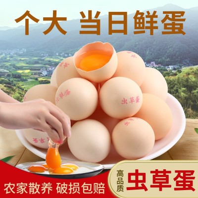 农家散养土鸡蛋，大个虫草蛋单枚50g左右 五谷喂养土鸡蛋一件代发图2