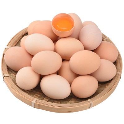 我老家土鸡蛋40枚 品质款土鸡蛋散养厂家直销农家土鸡蛋批发图5