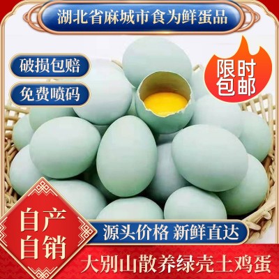 免费喷码绿壳乌鸡蛋批发农家林间散养虫草五谷鸡蛋产地新鲜乌鸡蛋
