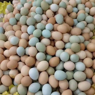 30枚大别山农家散养五谷绿壳虫草混合装现捡现发免费喷码土鸡蛋图2