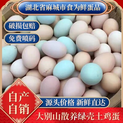 30枚大别山农家散养五谷绿壳虫草混合装现捡现发免费喷码土鸡蛋
