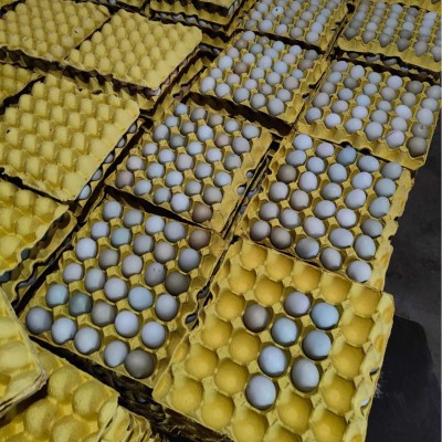 30枚大别山农家散养五谷绿壳虫草混合装现捡现发免费喷码土鸡蛋图4