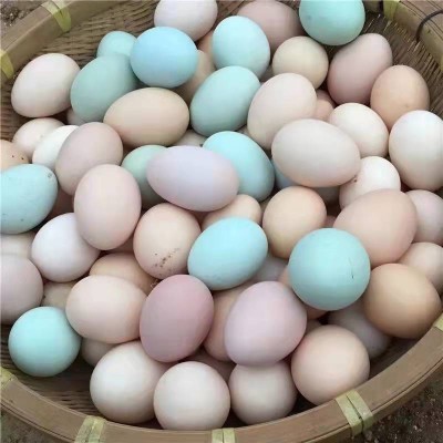 30枚大别山农家散养五谷绿壳虫草混合装现捡现发免费喷码土鸡蛋图3