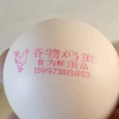 五谷散养虫草农家乌鸡土鸡蛋产地批发免费喷码（1斤12个左右）图3