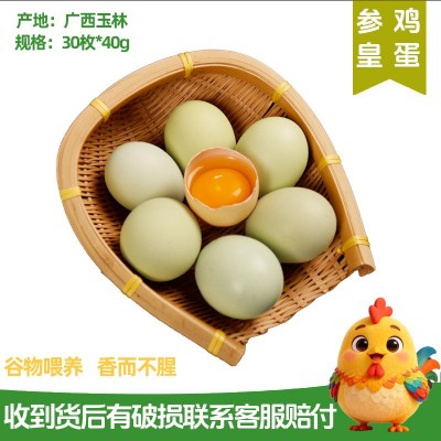 广西原生态绿壳乌鸡蛋农家慢养30枚礼盒装新鲜直供餐饮生鲜供应