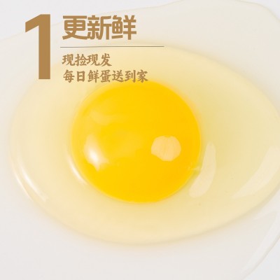 广西原生态绿壳乌鸡蛋农家慢养30枚礼盒装新鲜直供餐饮生鲜供应图2