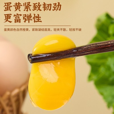 广西原生态绿壳乌鸡蛋农家慢养30枚礼盒装新鲜直供餐饮生鲜供应图4