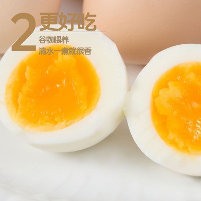 广西原生态绿壳乌鸡蛋农家慢养30枚礼盒装新鲜直供餐饮生鲜供应图3