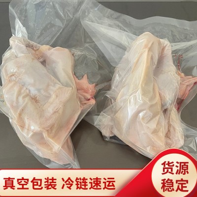 参皇土鸡玉林三黄鸡整鸡白条鸡农家散养老鸡鲜鸡肉源头直供图3