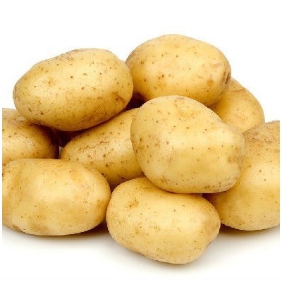 常年供应土豆，欢迎前来咨询