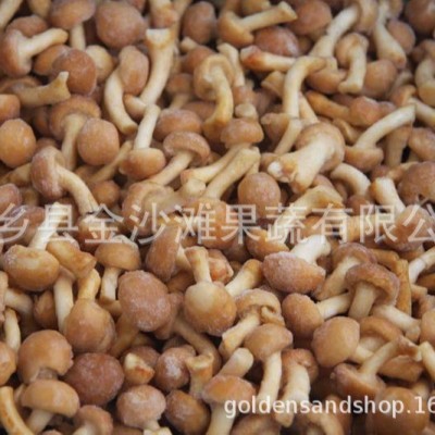 常年速冻滑子菇，质量保证 专业做速冻滑子菇