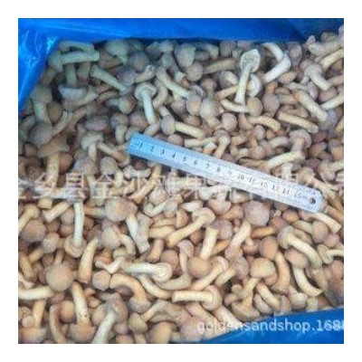 常年速冻滑子菇，质量保证 专业做速冻滑子菇图2
