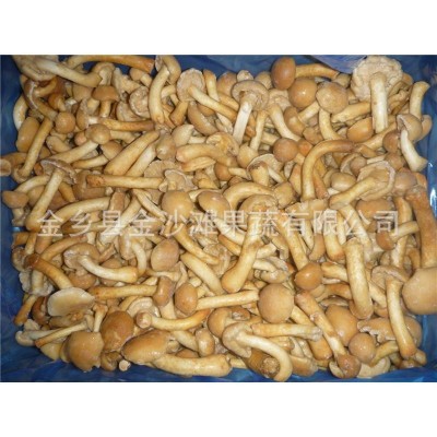 常年速冻滑子菇，质量保证 专业做速冻滑子菇图3